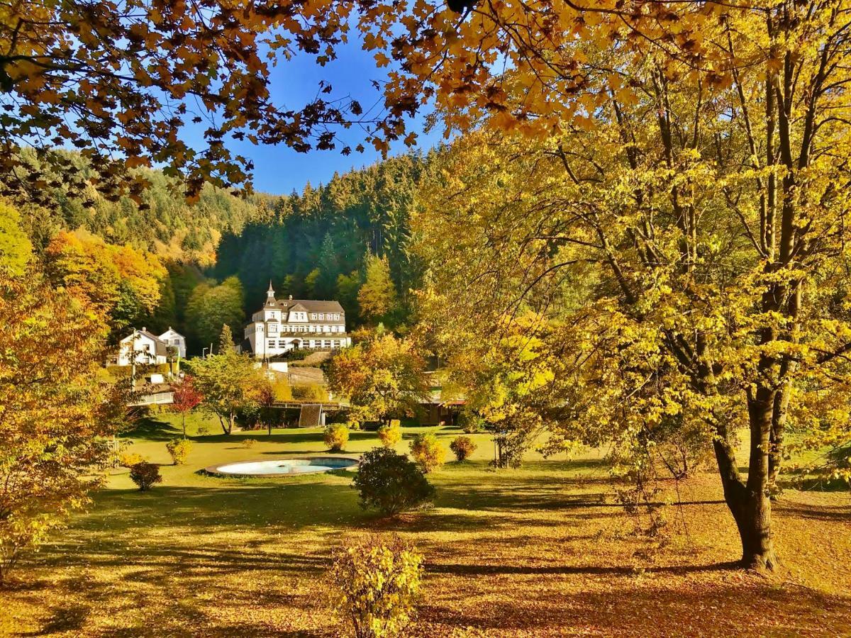 Flair-Hotel Waldfrieden Oberweißbach Εξωτερικό φωτογραφία