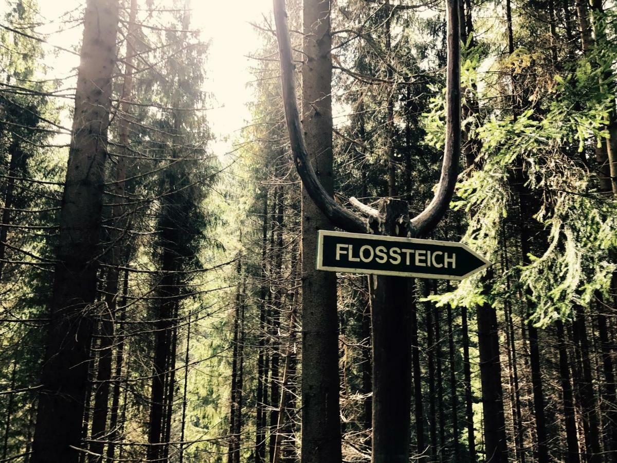 Flair-Hotel Waldfrieden Oberweißbach Εξωτερικό φωτογραφία