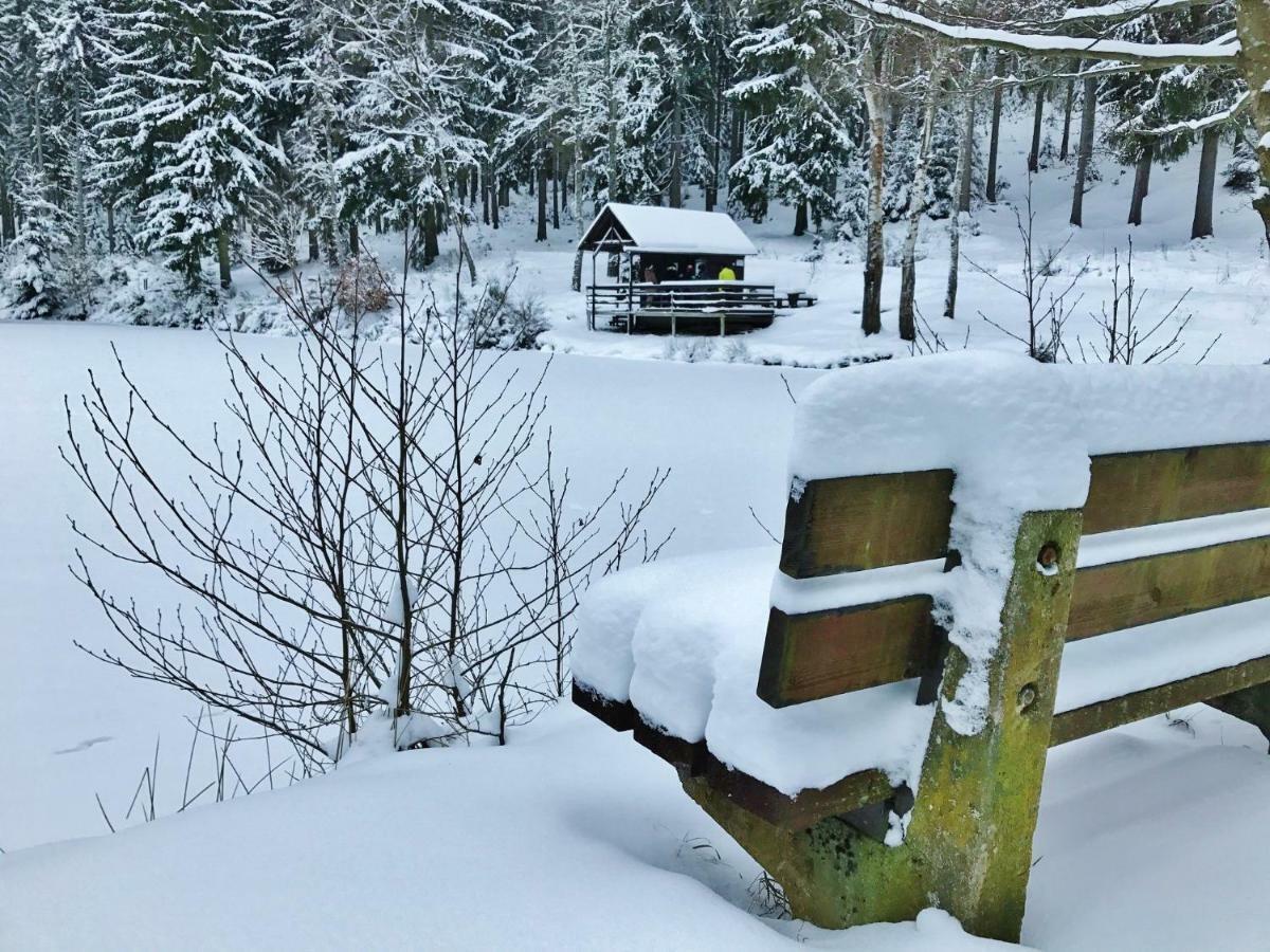 Flair-Hotel Waldfrieden Oberweißbach Εξωτερικό φωτογραφία